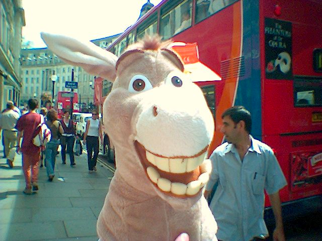 Click to see next photo