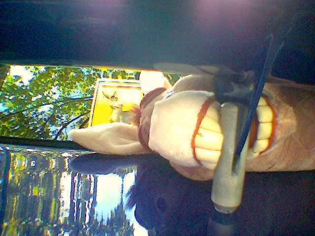 Click to see next photo