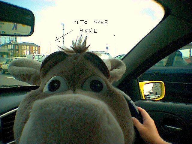 Click to see next photo